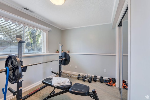 2363 W 960 N, Provo, UT 84601 - exercise area with crown molding, a textured ceiling, carpet, baseboards, and visible vents