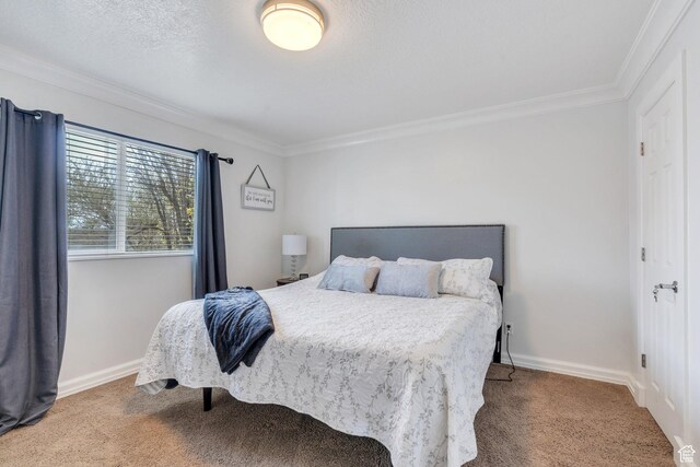 2363 W 960 N, Provo, UT 84601 - carpeted bedroom with crown molding and baseboards