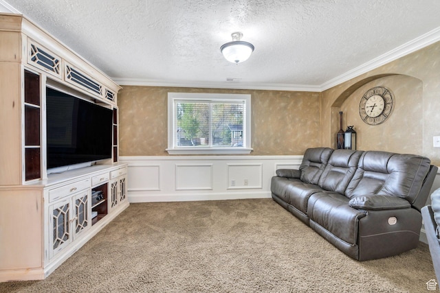 2363 W 960 N, Provo, UT 84601 - carpeted living room with crown molding, a textured ceiling, a decorative wall, and a wainscoted wall