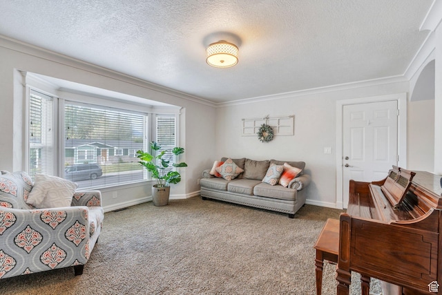 2363 W 960 N, Provo, UT 84601 - carpeted living room featuring crown molding, a textured ceiling, and baseboards