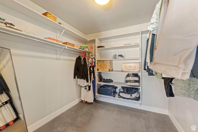 15176 S Battle Dr, Bluffdale, UT 84065 - walk in closet featuring carpet flooring