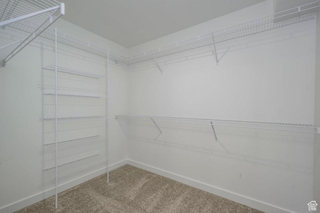 246 E Wasatch Ave Unit 201, Midvale, UT 84070 - spacious closet with carpet flooring
