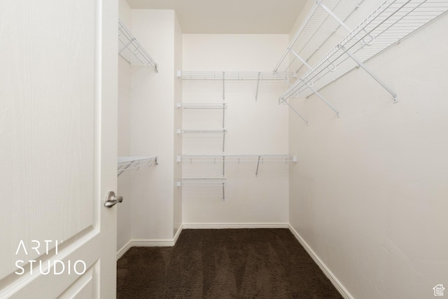 walk in closet featuring carpet