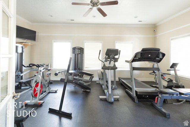 gym featuring crown molding, baseboards, ceiling fan, and a healthy amount of sunlight