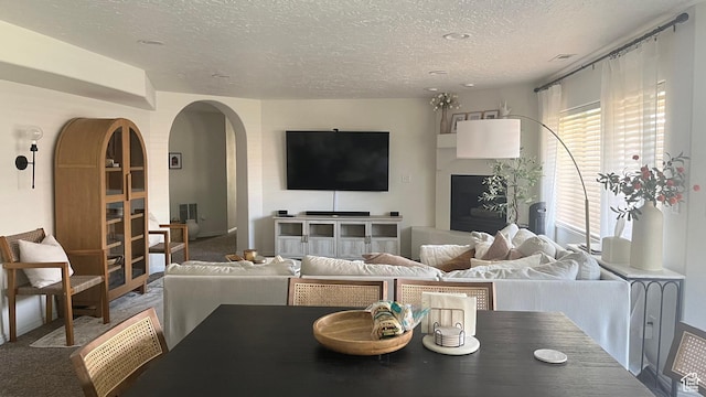 1087 E Fort Pierce Dr, St George, UT 84790 - carpeted living area with visible vents, arched walkways, and a textured ceiling