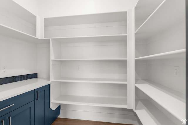 2316 S 2925 W, Cedar City, UT 84720 - view of pantry