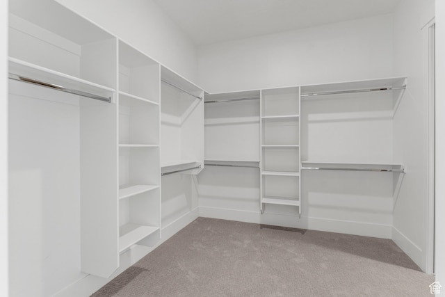 2316 S 2925 W, Cedar City, UT 84720 - walk in closet with carpet flooring