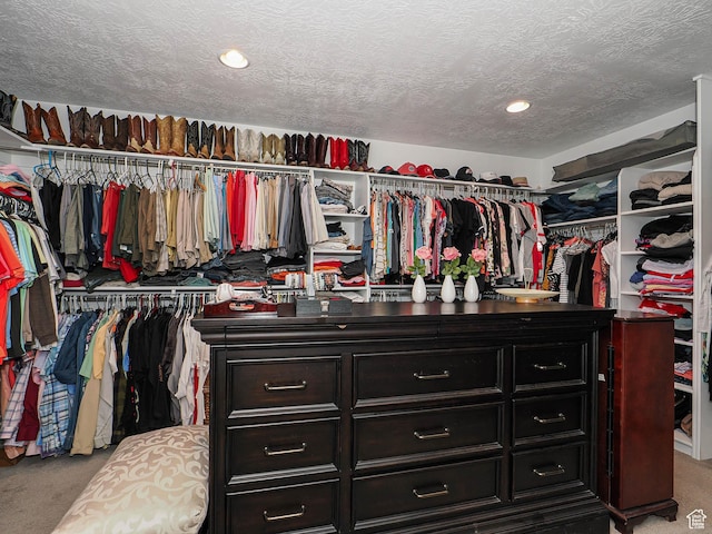 10953 S Kelso Dune Dr, South Jordan, UT 84009 - walk in closet with carpet