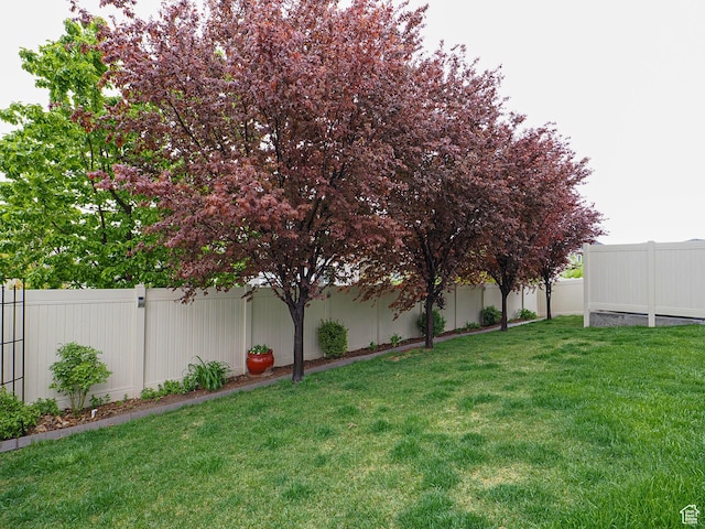 10953 S Kelso Dune Dr, South Jordan, UT 84009 - view of yard featuring a fenced backyard