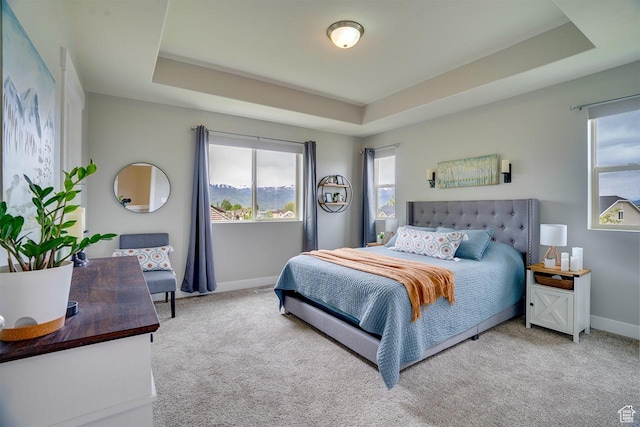 2130 S 450 E, Heber City, UT 84032 - carpeted bedroom with baseboards, multiple windows, and a raised ceiling