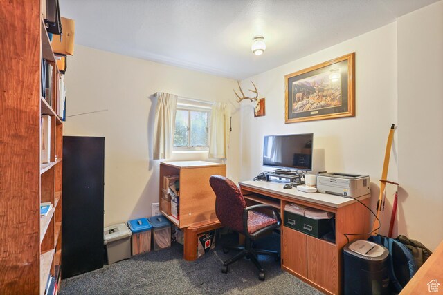 424 S 400 E, Orem, UT 84097 - view of carpeted home office