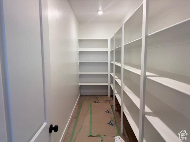 166 N Husker Ln Unit 1, Saratoga Springs, UT 84045 - view of pantry