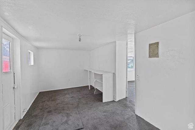95 N 200 W, Brigham City, UT 84302 - below grade area with carpet