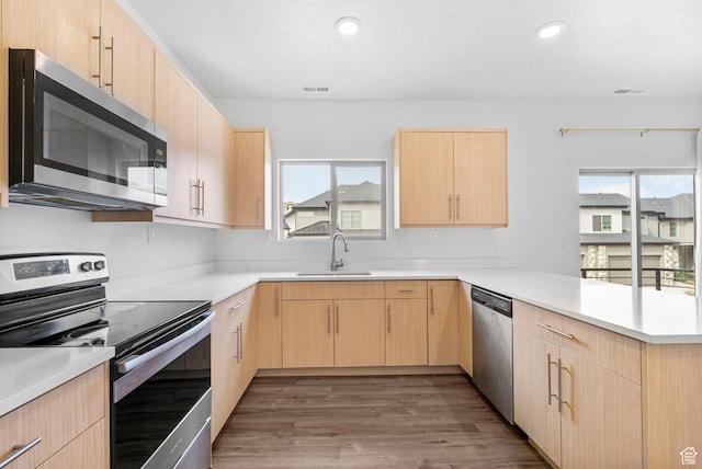 kitchen with appliances with stainless steel finishes, a sink, a peninsula, light brown cabinets, and a wealth of natural light