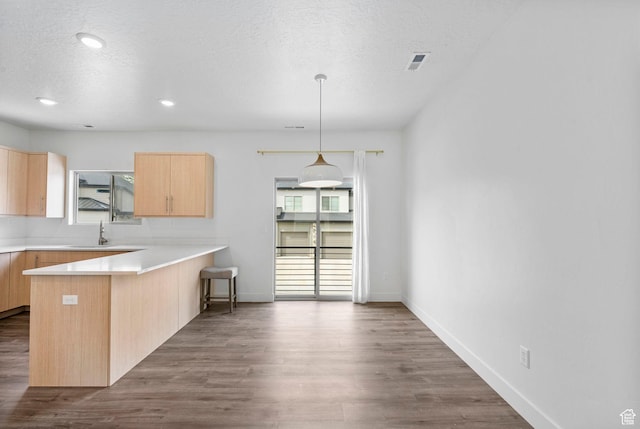 kitchen with light countertops, a peninsula, light brown cabinets, and a healthy amount of sunlight