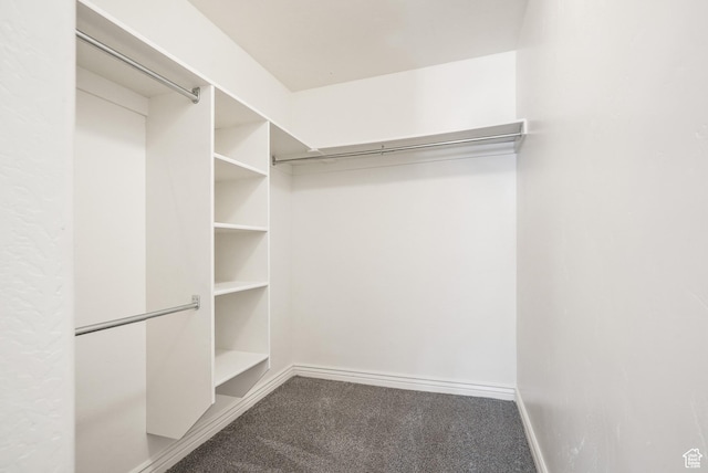 425 S 2220 W Unit 202, Pleasant Grove, UT 84062 - walk in closet featuring carpet flooring