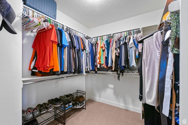 145 W 750 S, American Fork, UT 84003 - spacious closet with carpet floors