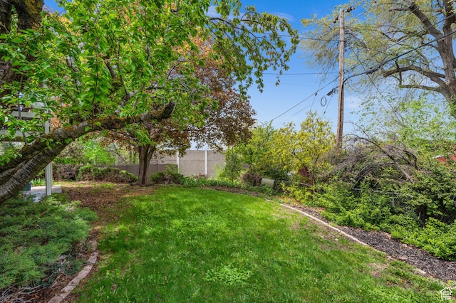 3581 E Yosemite Dr S, Millcreek, UT 84109 - view of yard