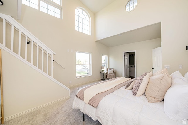 916 W 1150 S, Provo, UT 84601 - carpeted bedroom with baseboards and a high ceiling