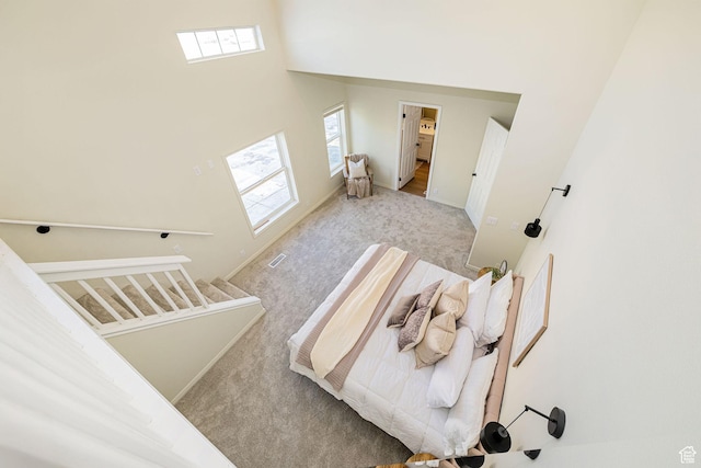 916 W 1150 S, Provo, UT 84601 - bedroom with carpet floors, baseboards, and a towering ceiling