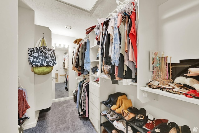 5078 S Iroquois Way E, Ogden, UT 84403 - spacious closet with carpet flooring