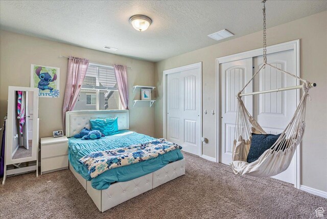 204 E 460 N, Vineyard, UT 84059 - carpeted bedroom featuring multiple closets, baseboards, a textured ceiling, and visible vents