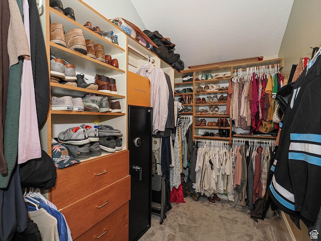418 E Bridlewalk Ln, Murray, UT 84107 - walk in closet with carpet