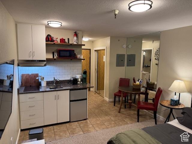 1940 Prospector Ave Unit 207, Park City, UT 84060 - kitchen featuring tasteful backsplash, fridge, white cabinetry, and under cabinet range hood