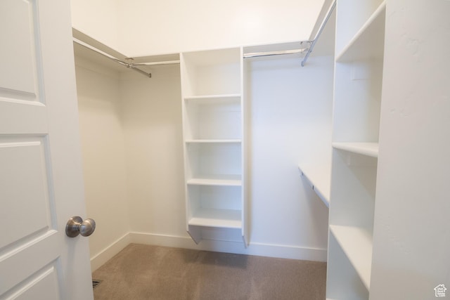 1428 N 4075 W, Vernal, UT 84078 - spacious closet featuring carpet flooring