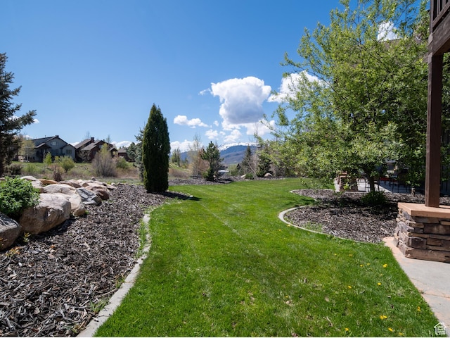 3540 N Elkview Dr, Eden, UT 84310 - view of yard with a mountain view