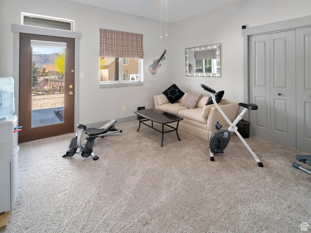 3540 N Elkview Dr, Eden, UT 84310 - exercise area featuring plenty of natural light and carpet flooring