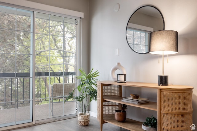 636 E 3990 S Unit D, Millcreek, UT 84107 - doorway with baseboards, wood finished floors, and a wealth of natural light