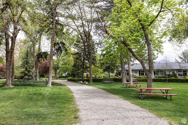 636 E 3990 S Unit D, Millcreek, UT 84107 - surrounding community with a lawn