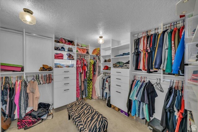 1436 Boulder Springs Rd, St George, UT 84790