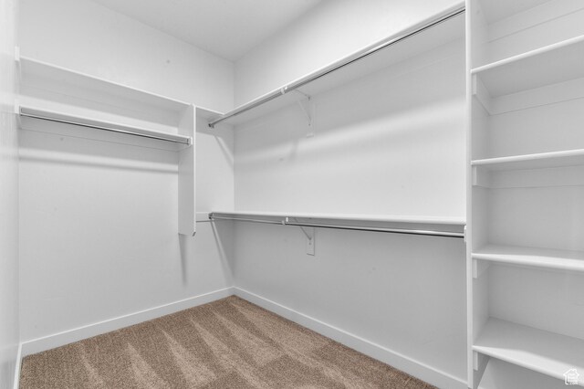 6589 W Bannon St, West Jordan, UT 84081 - walk in closet with carpet floors