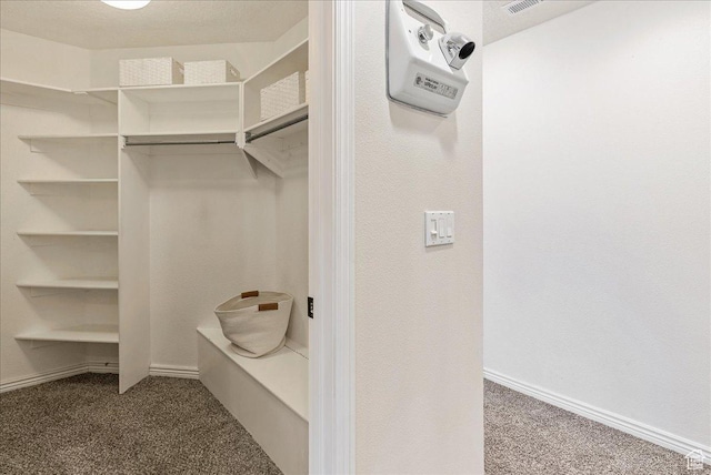 2748 W 220 N, Provo, UT 84601 - walk in closet with carpet flooring
