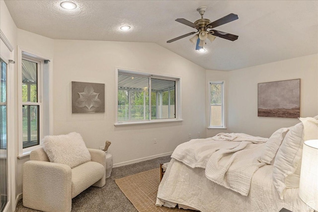 2748 W 220 N, Provo, UT 84601 - carpeted bedroom with a textured ceiling, baseboards, vaulted ceiling, and multiple windows