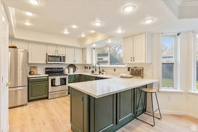 2748 W 220 N, Provo, UT 84601 - kitchen featuring crown molding, appliances with stainless steel finishes, a sink, a raised ceiling, and a peninsula