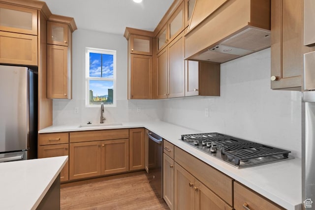 11439 S Watercourse Rd Unit 182, South Jordan, UT 84009 - kitchen featuring appliances with stainless steel finishes, premium range hood, a sink, light wood-style floors, and light countertops