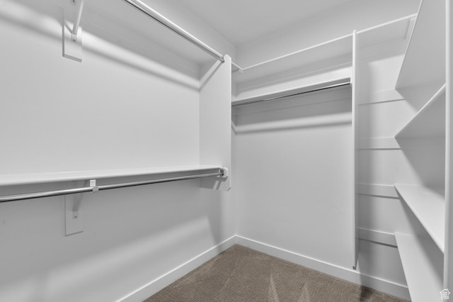 6628 W Spring Snow Ln, Herriman, UT 84096 - spacious closet featuring dark colored carpet