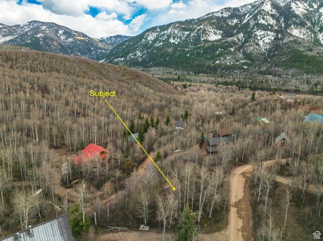 115 Eagle Way Unit 115, Oakley, UT 84055