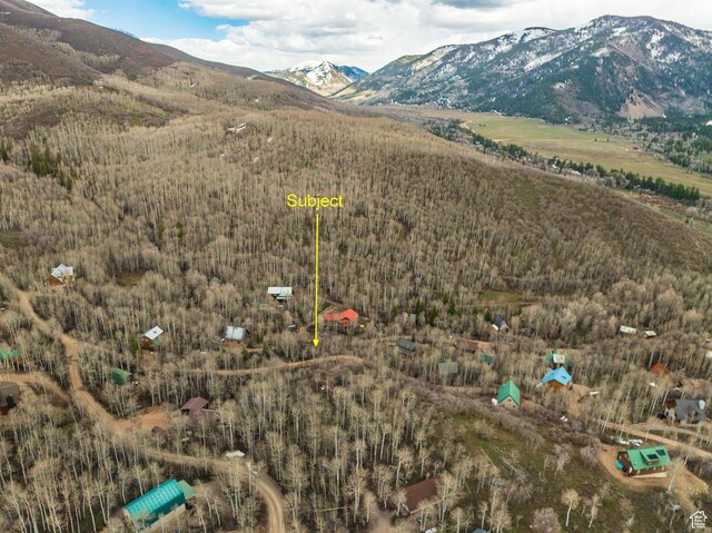 115 Eagle Way Unit 115, Oakley, UT 84055