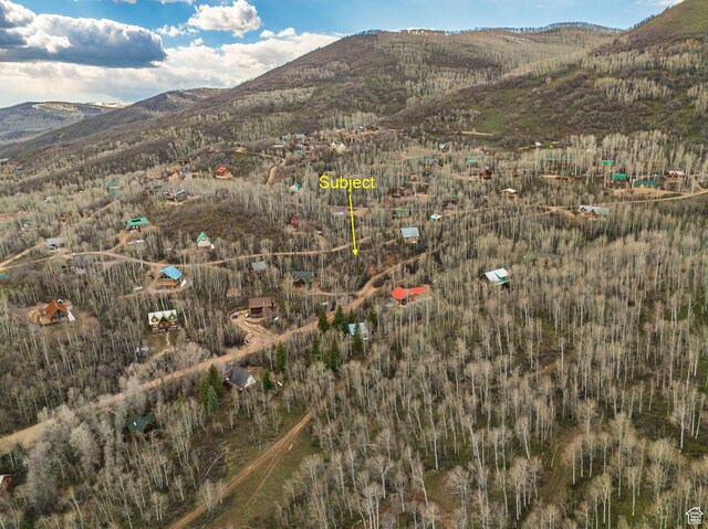 115 Eagle Way Unit 115, Oakley, UT 84055