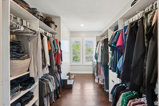 867 E 2850 N, North Ogden, UT 84414 - walk in closet with dark wood-style flooring