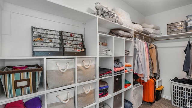 10674 S Pine Shadow Rd, South Jordan, UT 84009 - spacious closet with carpet flooring