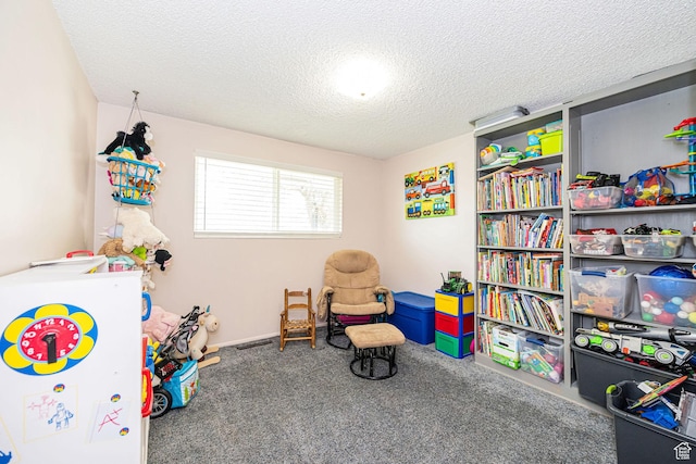 75 S 300 W, Morgan, UT 84050 - rec room with carpet floors and a textured ceiling