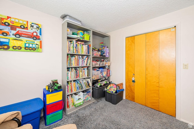75 S 300 W, Morgan, UT 84050 - rec room featuring carpet flooring and a textured ceiling