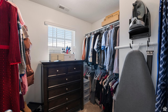 1940 S 200 W Unit 16, Bountiful, UT 84010 - spacious closet featuring visible vents and carpet