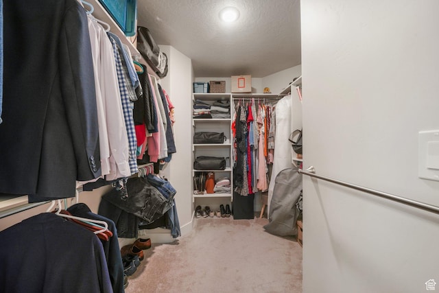 4576 W Sentry Dr, Riverton, UT 84096 - walk in closet with carpet