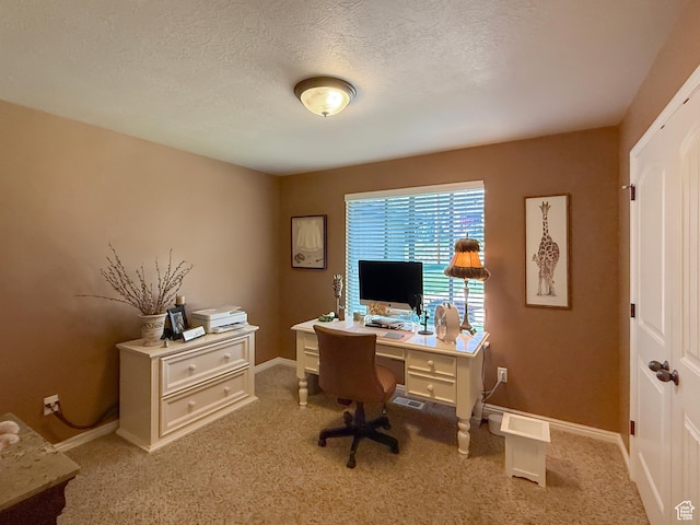 4116 N 800 W, Pleasant View, UT 84414 - office space with a textured ceiling, baseboards, and light carpet